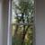Would You Like To Share A Beautiful Home In The Hills Of Fairfax? 13 thumbnail