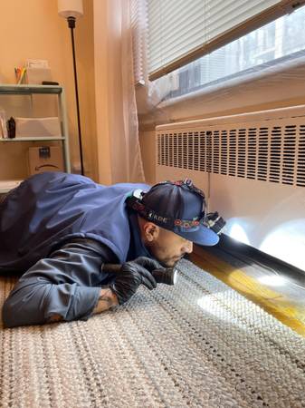 Apprentice Wanted - Pest Control Fieldwork (No Experience Needed) 1