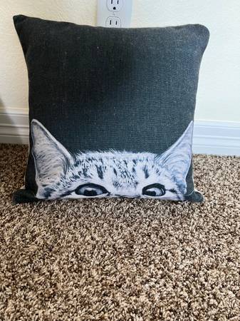 Cat decor pillow 1
