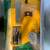 Workforce tile cutter 2 thumbnail