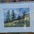 signed Mechtild Calnin "Trees on Hilly Meadow" Watercolor Painting 1 thumbnail
