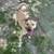 dogs looking for good homes 10 thumbnail