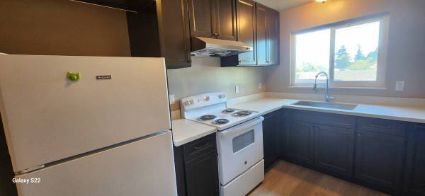 Nicely remodeled 2 Bed 1 Bath in a quiet street in the Dimond District 1