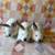 Bunnies 4 thumbnail