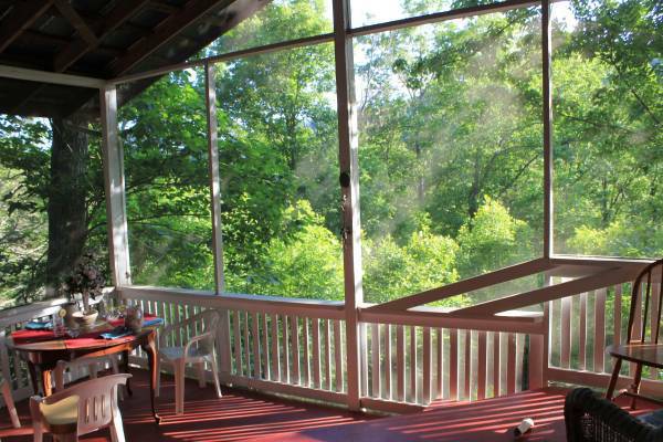 $2,100 / 2br - 1100ft2 - Sound of Nature, Mountain Cottage  on 5 acres forest (Black Mountain, Fairview)64029205481475120