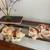 Vintage Kutani Imari Japanese Porcelain Sleeping Cat Figurine 5” 6 thumbnail