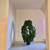 Just opened !    FREE parking, Separate Entrance, Corner Unit! 18 thumbnail