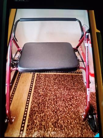 Large rolling walker Drive 1