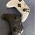 Xbox One Console BUNDLE- Matte Black 3 thumbnail