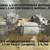 Pivot Gearboxes, center drives, and couplers in stock!!! 1 thumbnail