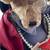 Hand made one-of-a-kind teddy bear 5 thumbnail