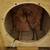 Electro Voice TL606 empty bass cabinet 6 thumbnail