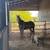 Teen trail gelding 3 thumbnail