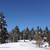 34 Acre Boise Mountain Estate | Build Ready | Well + Septic | No HOA 5 thumbnail