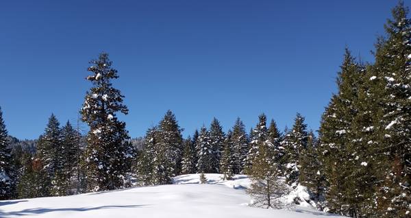 $777,000 34 Acre Boise Mountain Estate | Build Ready | Well + Septic | No HOA (Boise, ID)63794895284995124