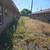 Yard Clean Ups and Pruning/Removal 18 thumbnail