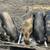 Pigs 2 thumbnail