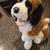 Kids of America 13" St Bernard plush stuffie 2 thumbnail