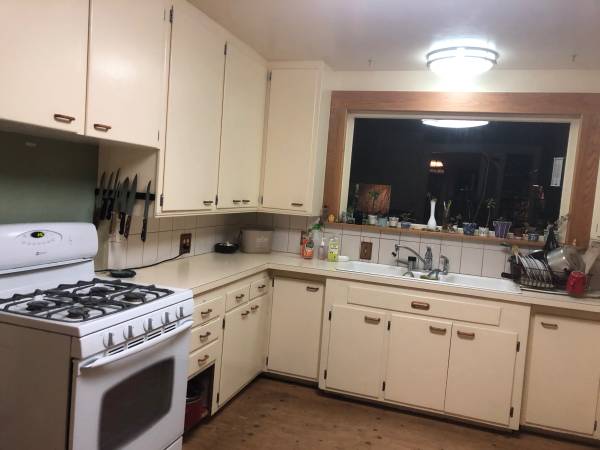 $775 / 4br - 250ft2 - Housemate Wanted for Sunny Shared 4 Bedroom Home (Creston Kenilworth)63956924845571124