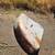 Ford 4000 tractor orchard tire fenders 3 thumbnail