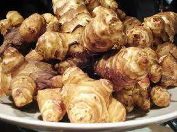 Jerusalem artichoke 1