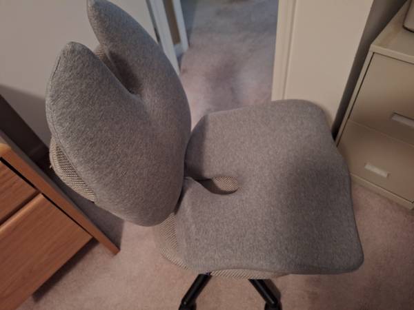 Cushion Lab  Seat cushion with lumbar support 1