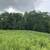 80 acres for sale! land - land - land - land -land 2 thumbnail