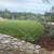 Mendozas landscaping services clean Ups weed control 3 thumbnail