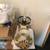 Hurricane table lamp electric 2 thumbnail