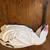Snow Goose decoys 3 thumbnail