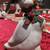 Christmas Holiday Figurines Display Snowman, Duck, Nativity Seasonal 8 thumbnail