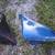 CAMARO/FIREBIRD 71-81 BUCKET SEATS/TRANS AM TRUNK&MISC 11 thumbnail