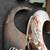 1941-46 chevrolet truck fenders front and rear 2 thumbnail