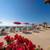 Beachfront, 2BEDS, 2BATHS, oceanview condo short and long lease 3 thumbnail