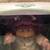 Cabbage Patch Kids 25th Anniversary 12 thumbnail