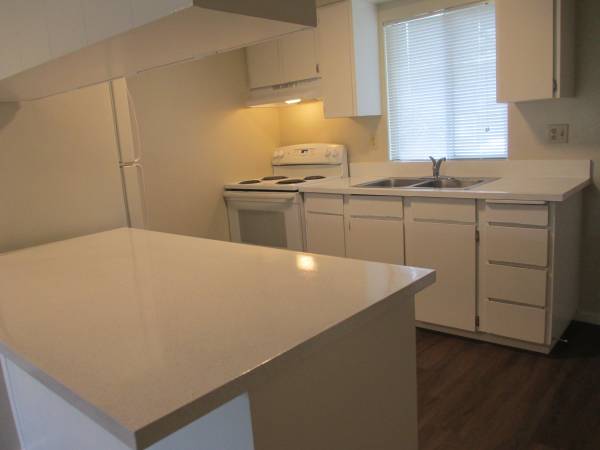 $1,695 / 2br - 950ft2 - The prime location you've been waiting for! Beautiful 2 bed, 1 bath! (Arlington)64031312556163120