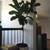 Large indoor tree planter 4 thumbnail