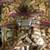 Big lot of 600+ Wine Corks 2 thumbnail