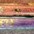 Spirit Animals series hard cover books Scholastic 3 thumbnail