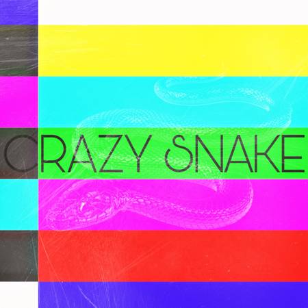 CRAZY SNAKE rock band for hire :) 1