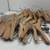 (Price is for all) Qty.50, 12" Beverly Coat Hanger co. T-150910 Hanger 3 thumbnail