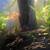 Fluval Edge 6 Gallon Forest Oasis - (Collectible Item) 3 thumbnail