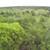 TBD FM 1696 ~ Land for Sale in Iola, TX 3 thumbnail