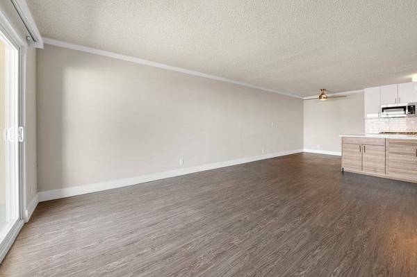 $900 / 1br - Newly renovated - Nice and bright studio with beautiful hardwood (SOMA / south beach)64000589747074124