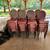 Restaurant  / Function Room Chairs 1 thumbnail