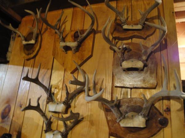 DEER ANTLER HORN PLAQUES HOMEMADEWOOD RUSTIC 1