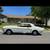 1965 mustang 1 thumbnail