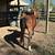 Hackney pony 4 thumbnail