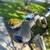 TREK 7300 Hybrid BIKE 9 thumbnail