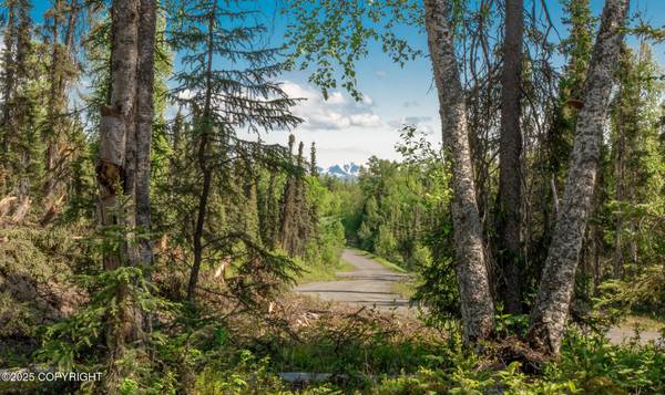 $77,000 Mountain view Land (Sterling)64163337554947121